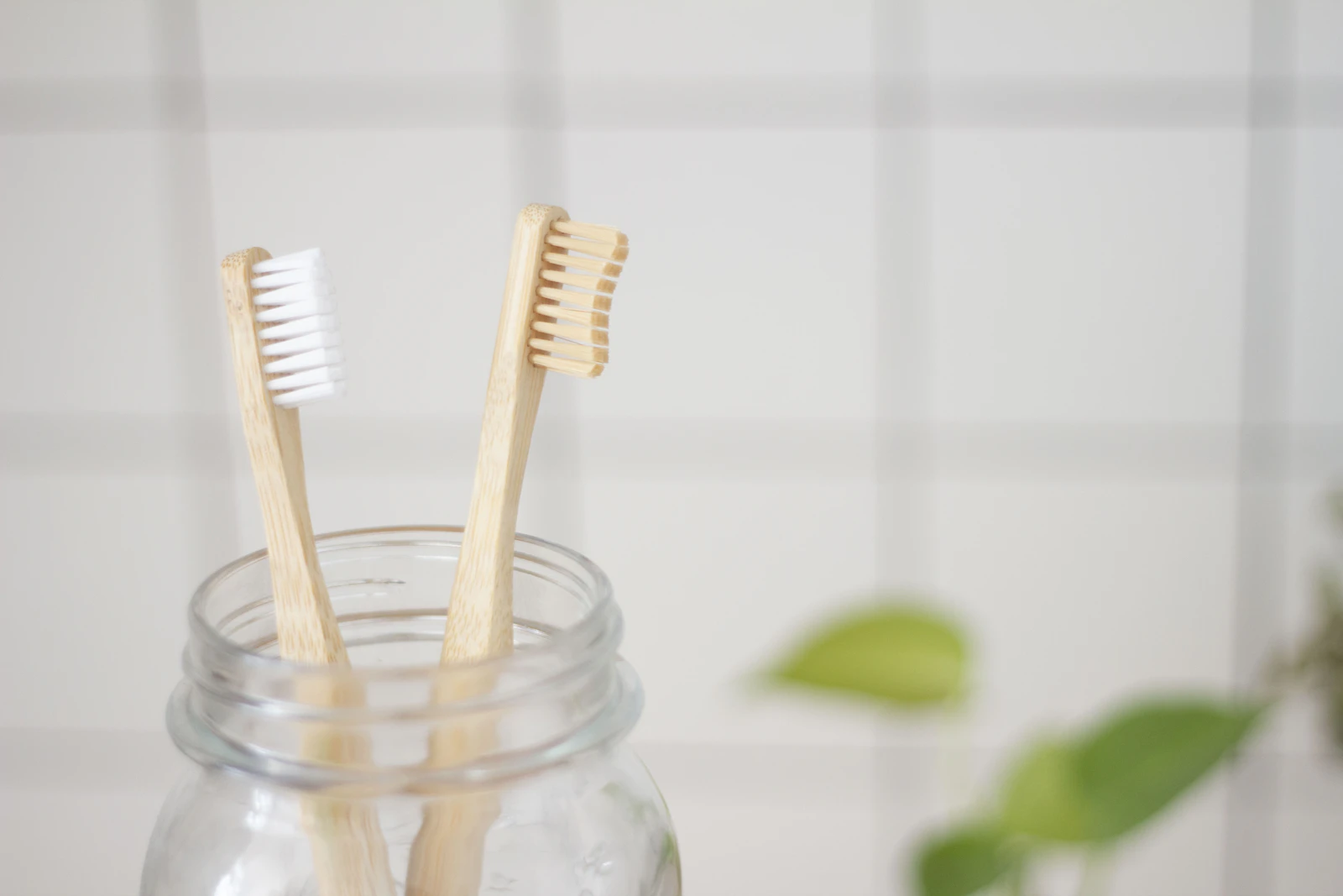 Professionelle Zahnreinigung: Was passiert bei der PZR?