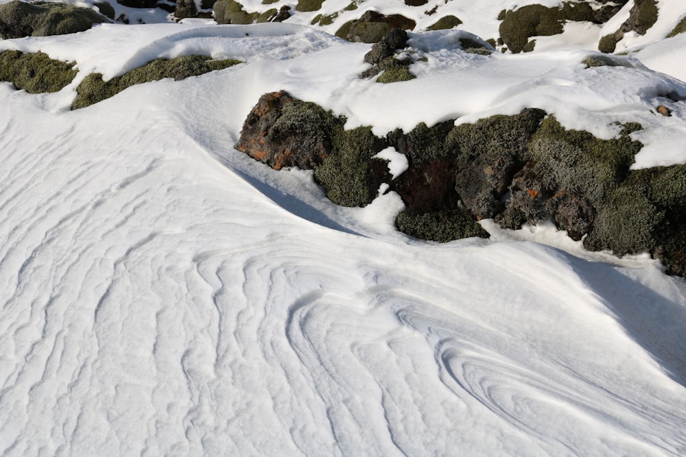 snow covered field during daytime