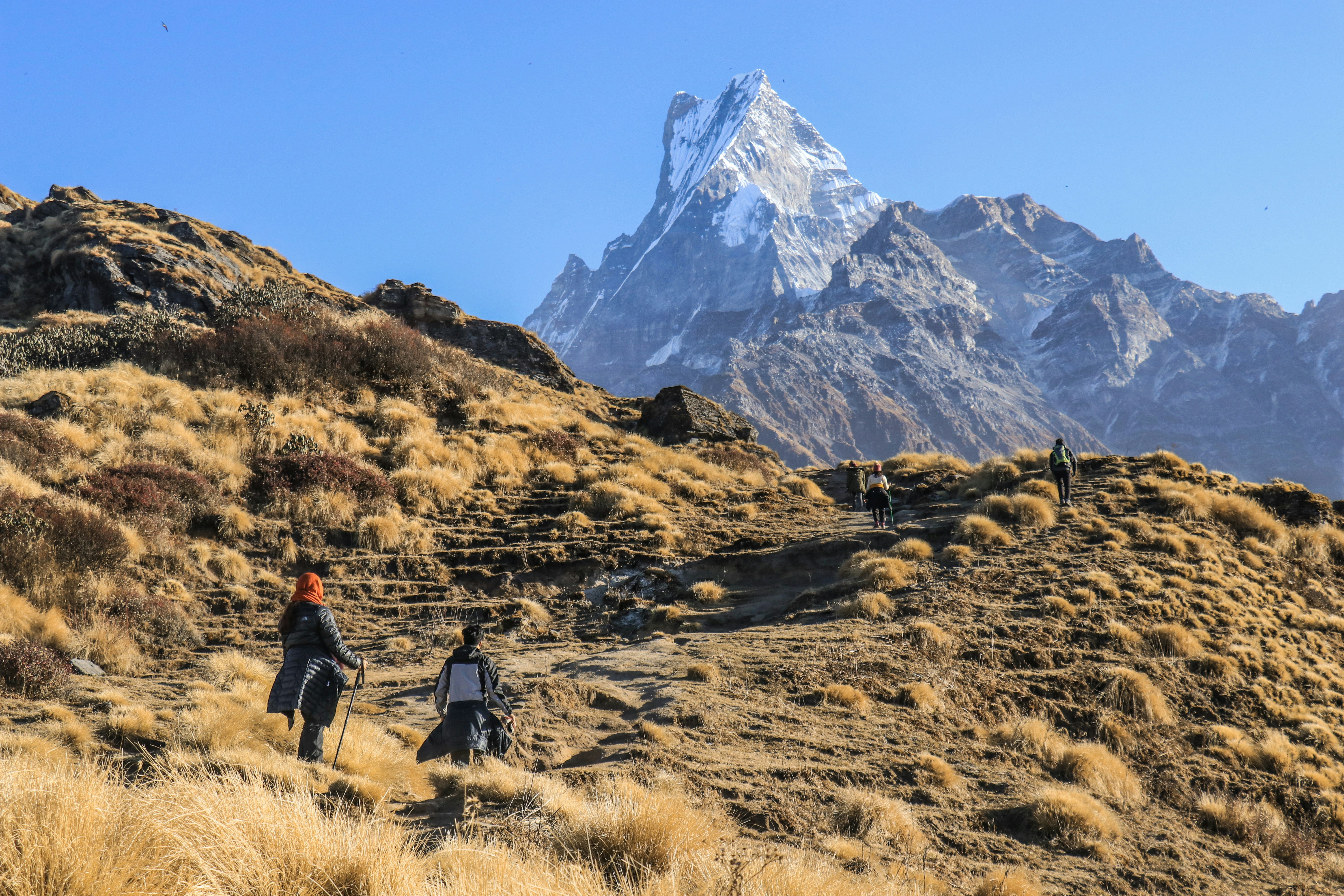 12 Trekking Fitness Programs for Multi-Day Expedition Preparation