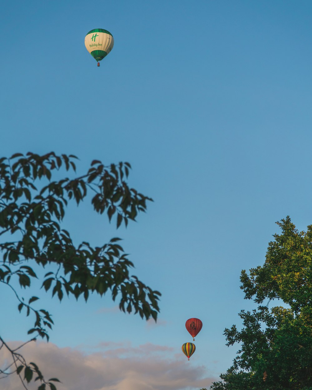 three assorted-color hot air balloons near trees