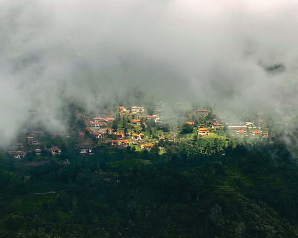 aerial view photography of village covered with fog