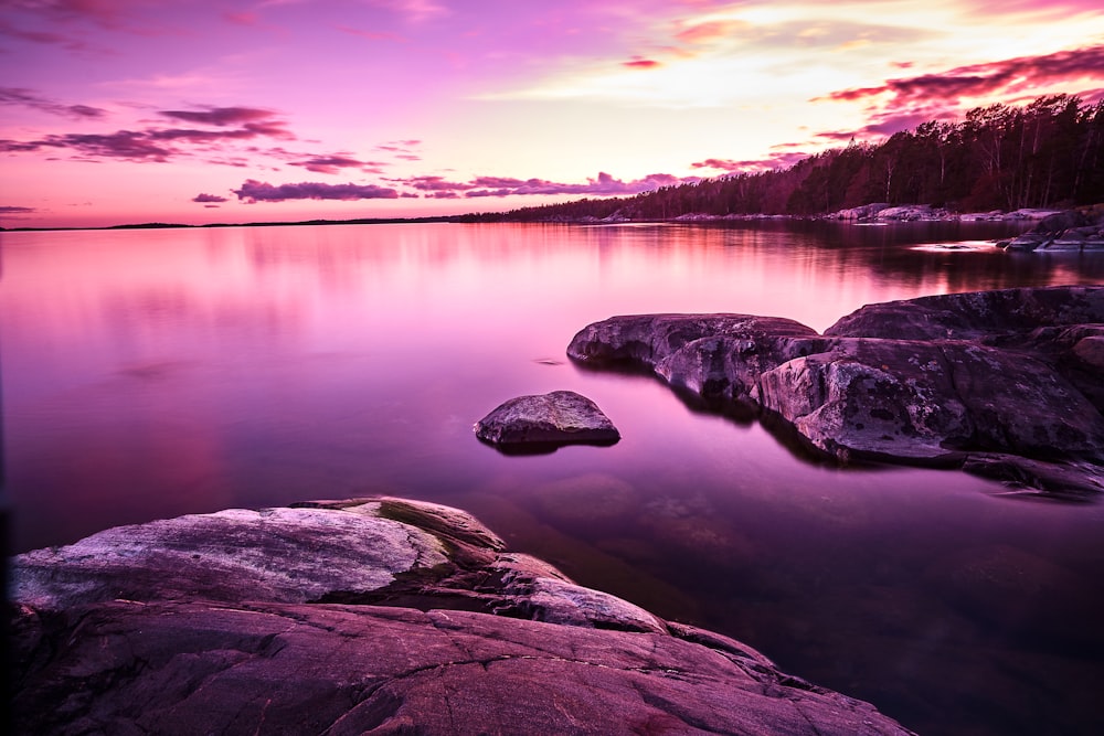 aerial view photography of rocky shore