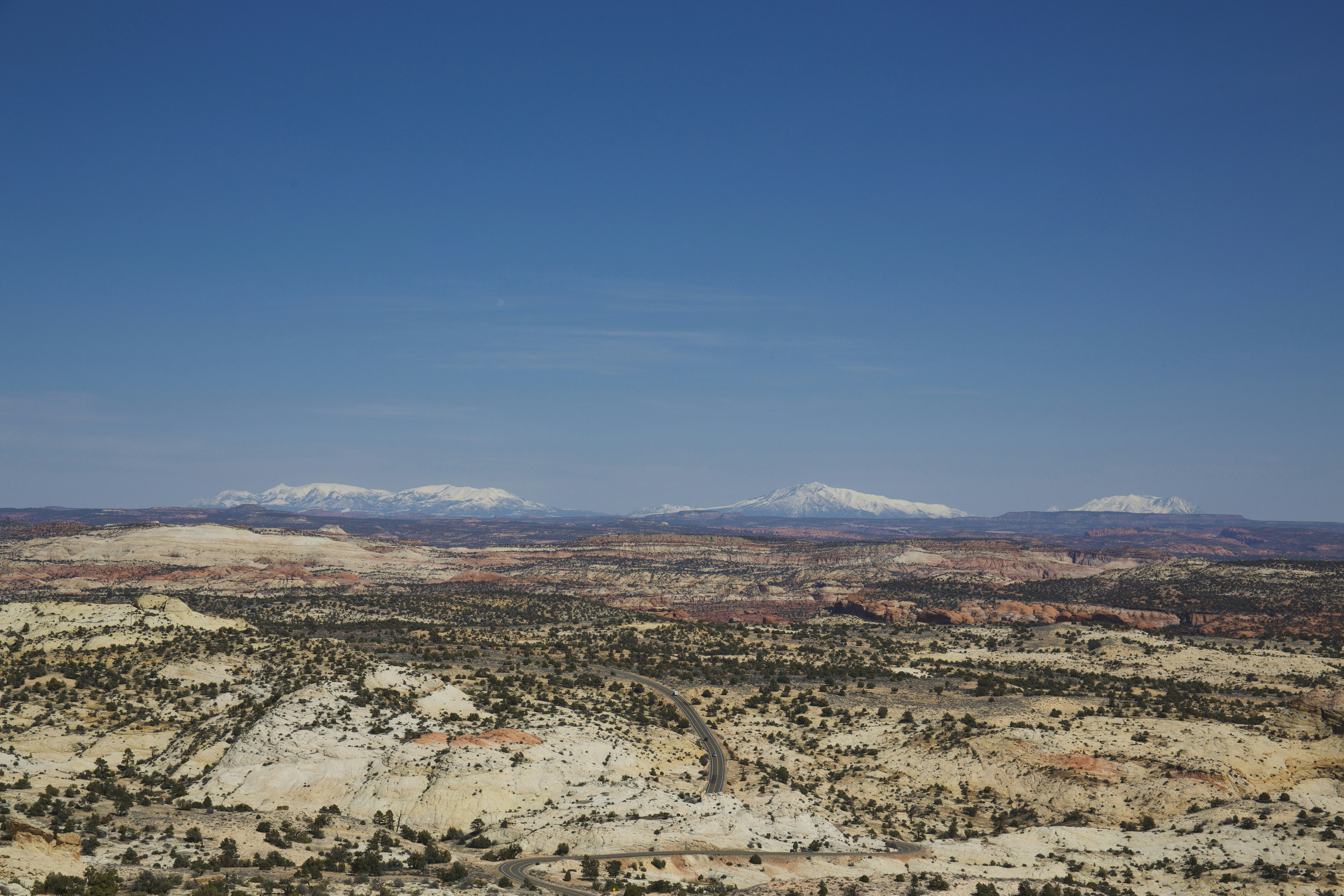 青空下の木々の航空写真