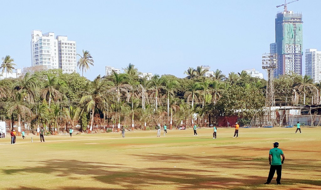 IPL Cricket Contest