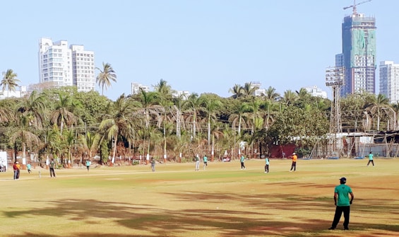 A group of people are playing cricket on a grassy field surrounded by tall palm trees and high-rise buildings in the background. The players are visible on the field wearing colored jerseys, and there is construction on a building in the distance.