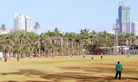 A group of people are playing cricket on a grassy field surrounded by tall palm trees and high-rise buildings in the background. The players are visible on the field wearing colored jerseys, and there is construction on a building in the distance.