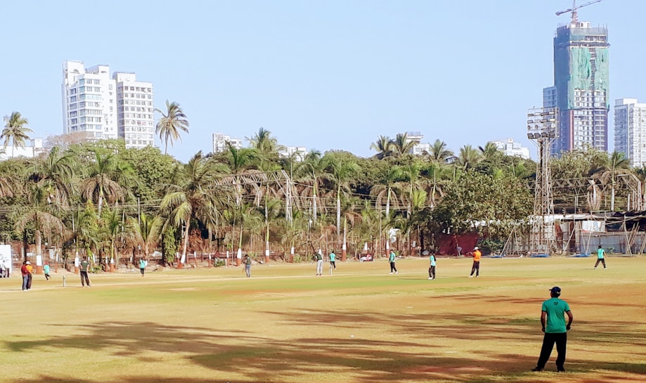 A group of people are playing cricket on a grassy field surrounded by tall palm trees and high-rise buildings in the background. The players are visible on the field wearing colored jerseys, and there is construction on a building in the distance.