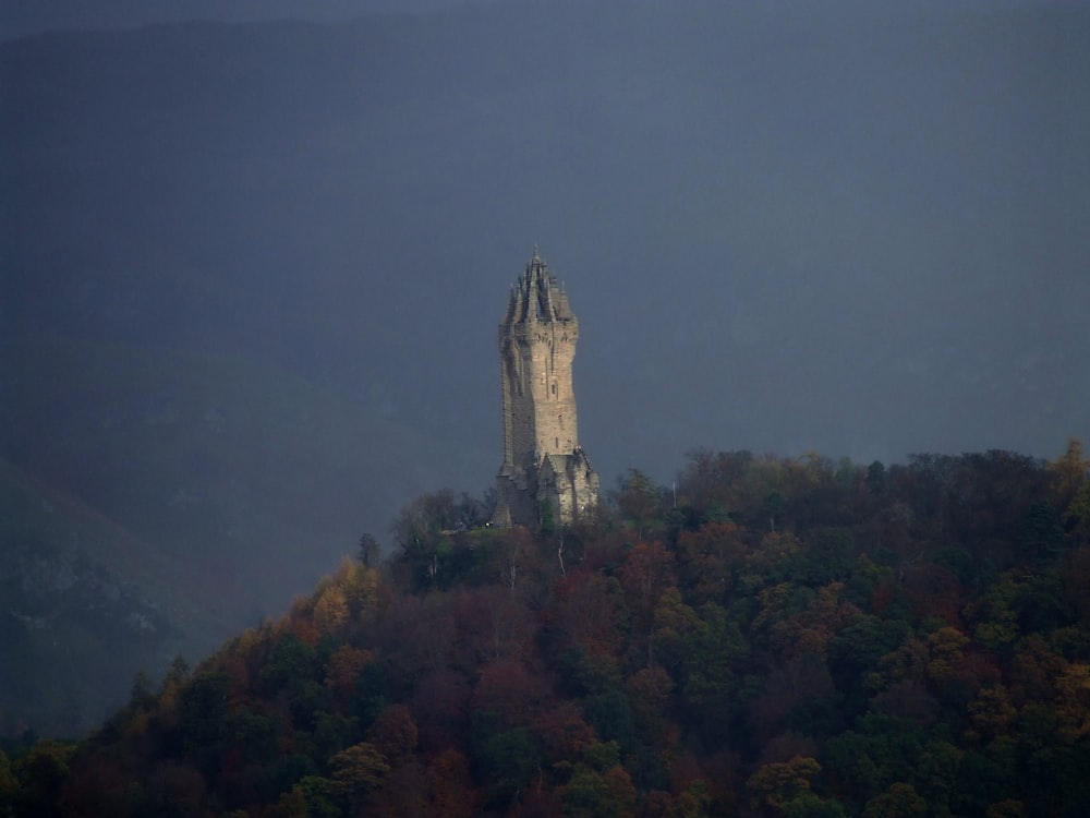 white tower on top of mountain surrounded with trees