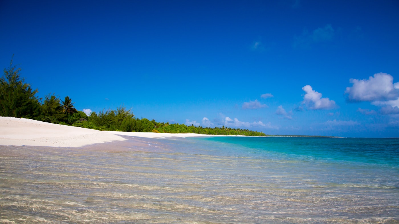 Turquoise lagoon and palm trees in the Marshall Islands