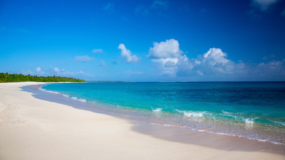 plage sous ciel nuageux blanc et bleu pendant la journée