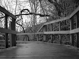 A candid photo of a winding path through a forest, symbolizing personal growth.