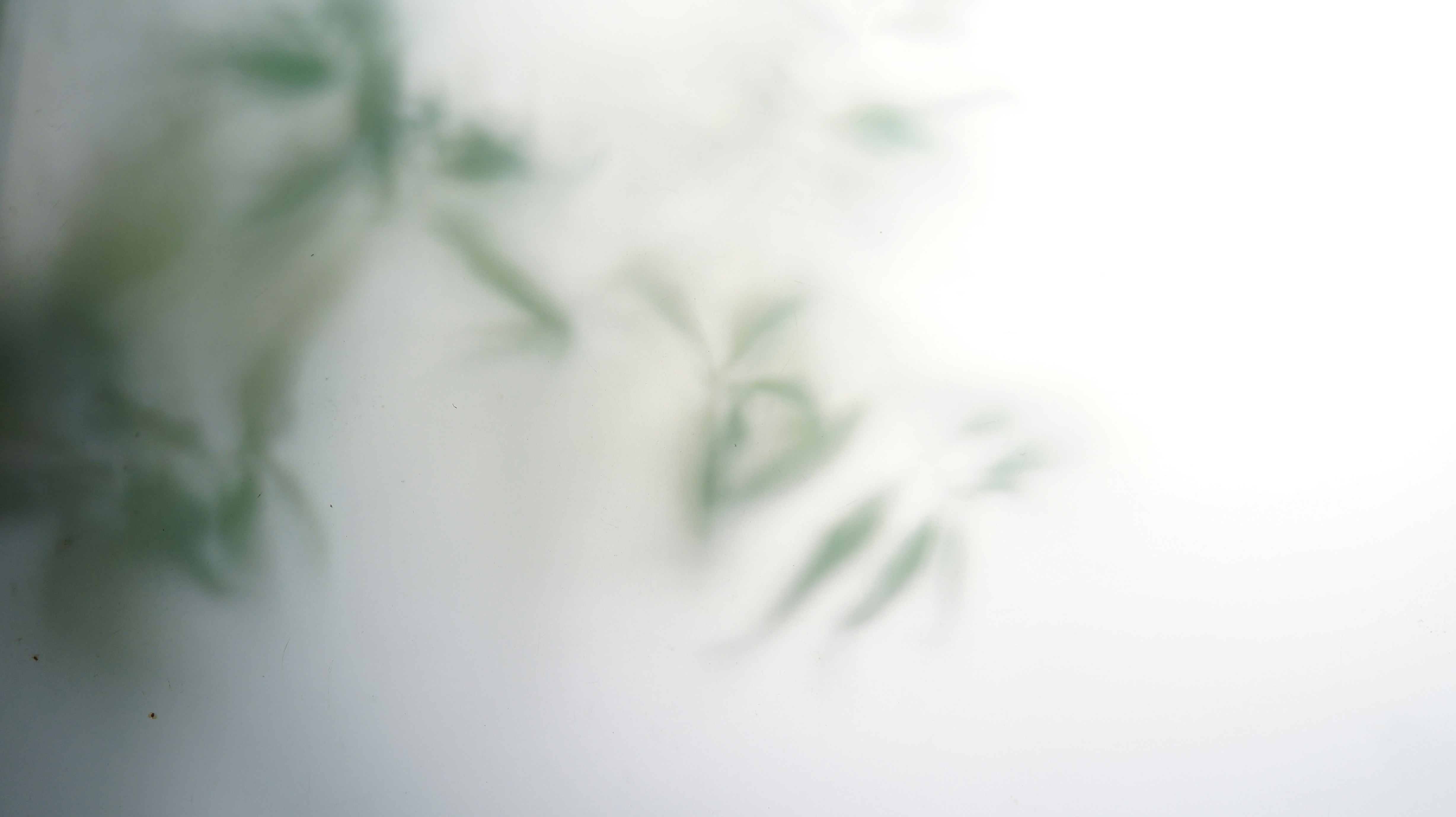 Photo by andypilgrim