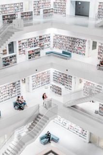 people inside library