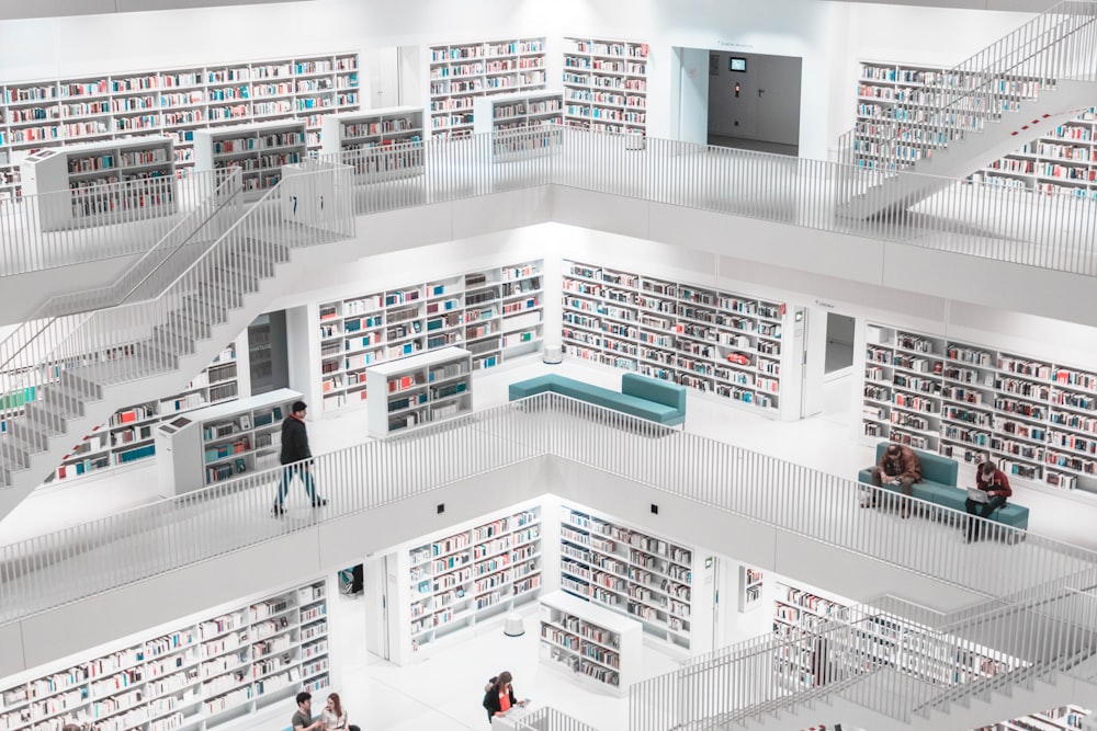 현대 도서관의 전망