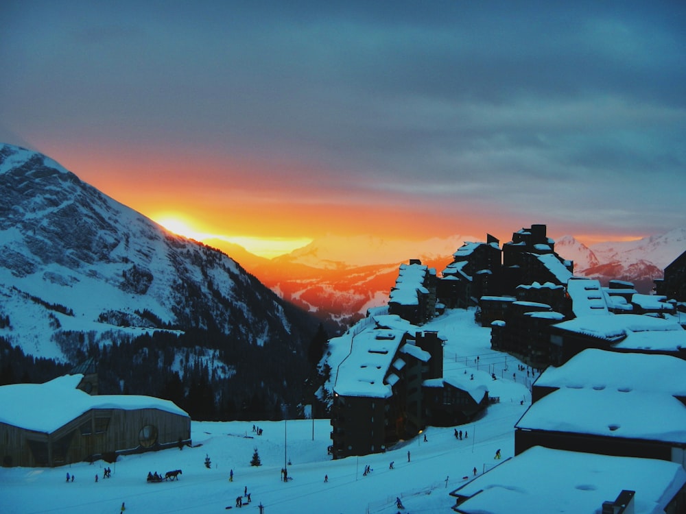 houses covered with snow