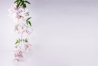 Elegant arrangement of jasmine blossoms beside a lit candle casting soft shadows on a cream background.