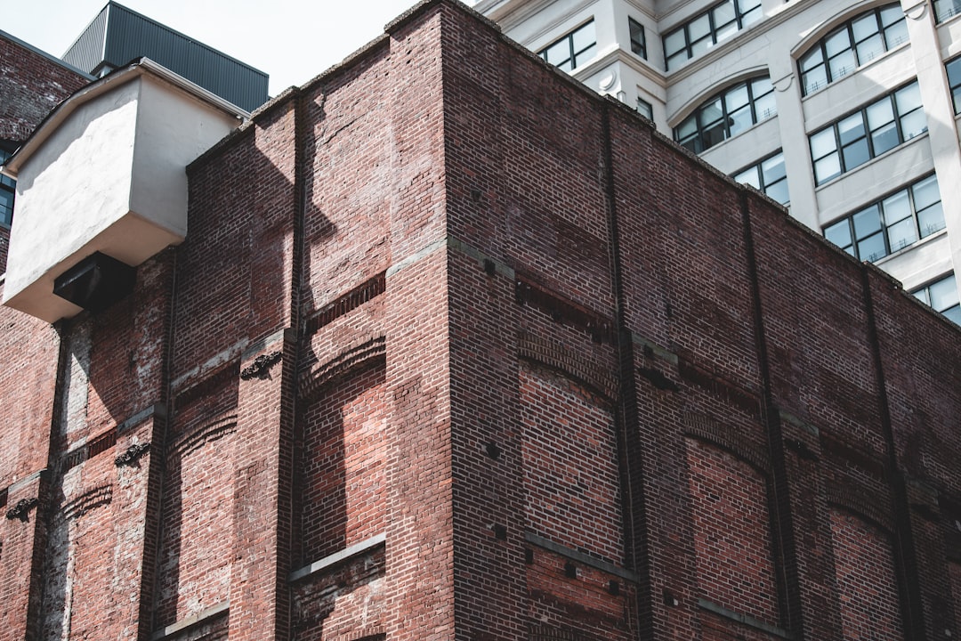 close-up photography of brown concrete building at daytime