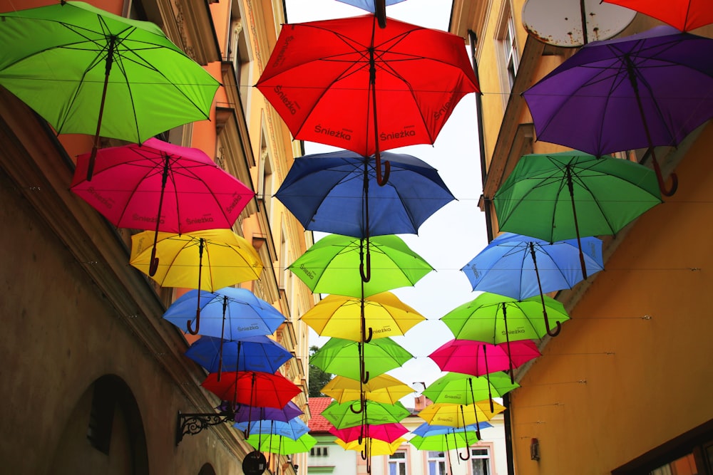 hung assorted-color umbrella lot