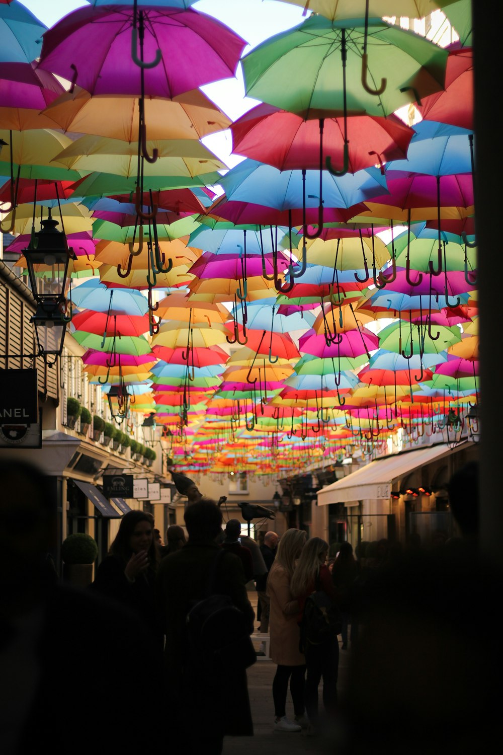 assorted-color umbrellas hanging