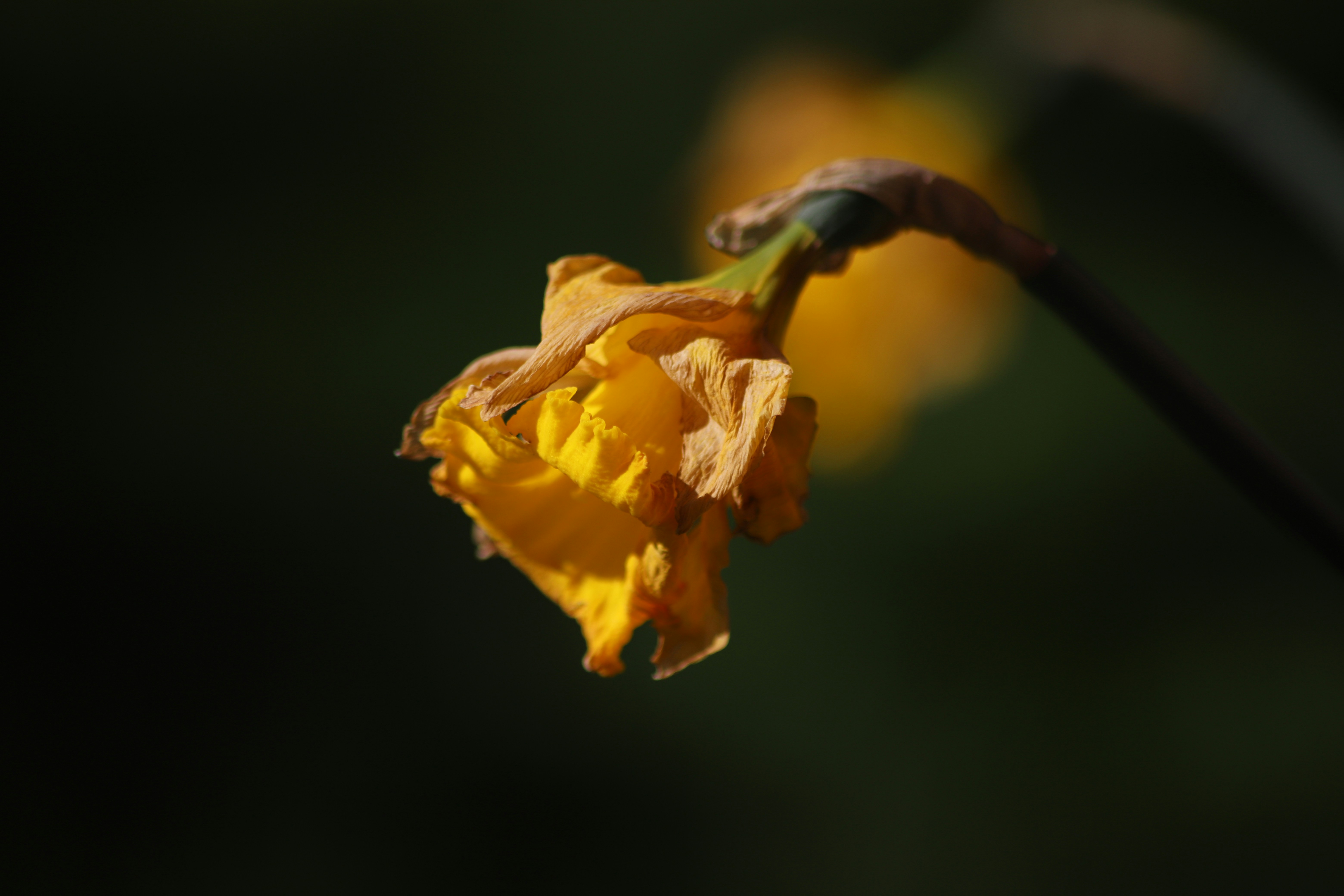 Photo by marion_true