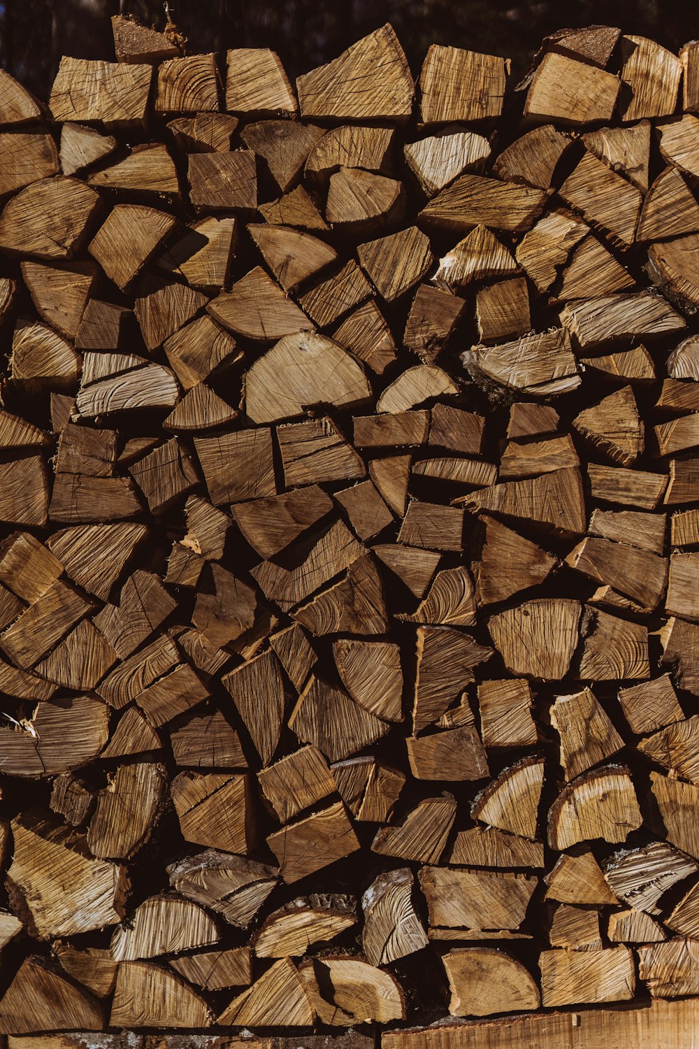 Terrain de bois brun