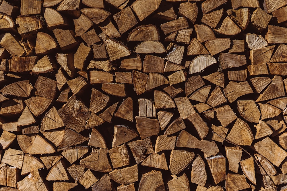 pile of firewoods