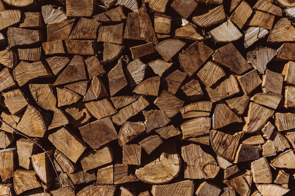 brown logs