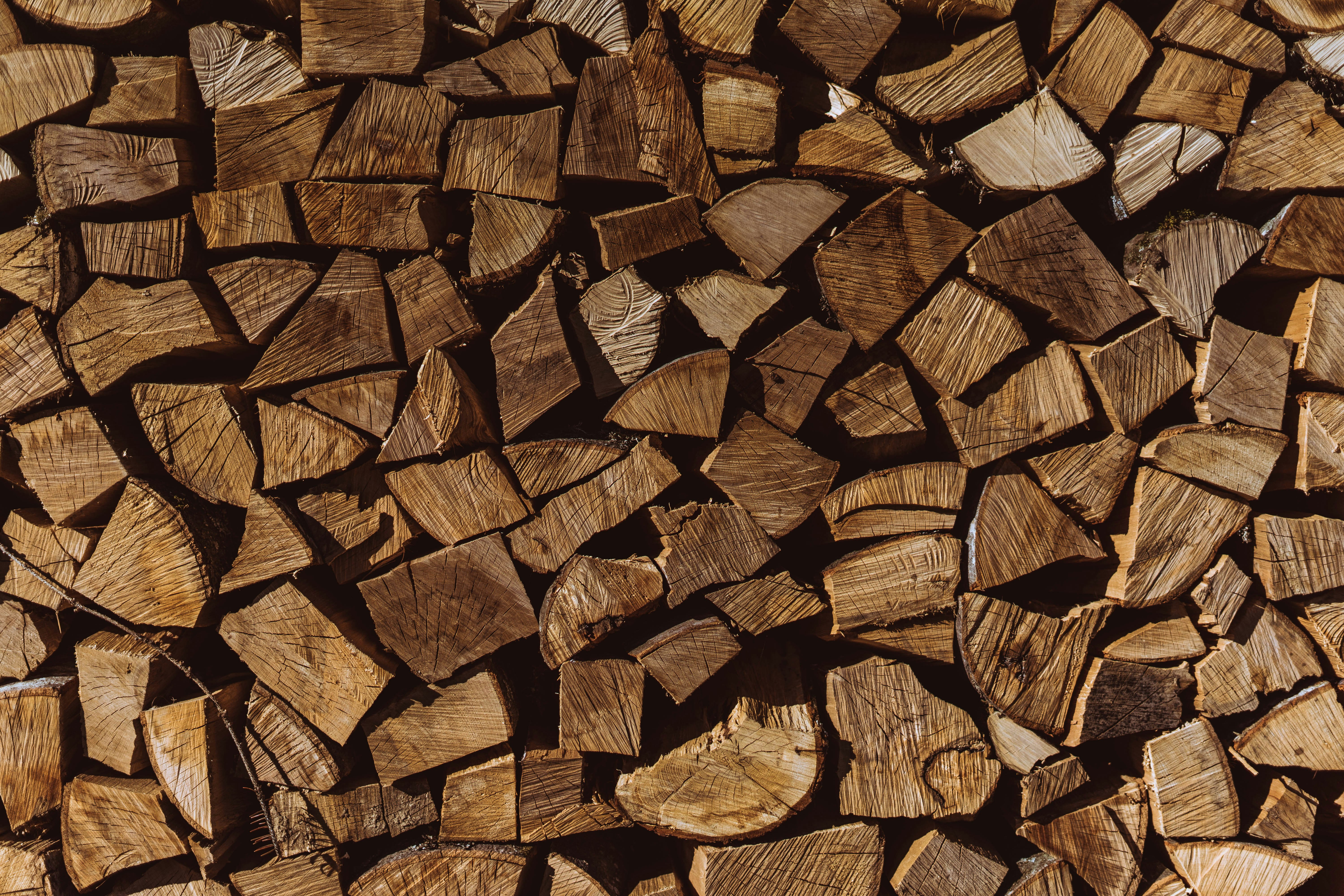 brown logs