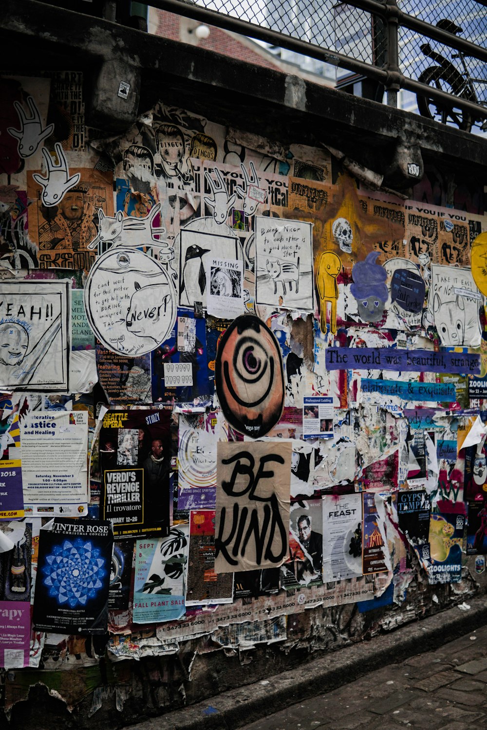 assorted newspaper pasted on wall