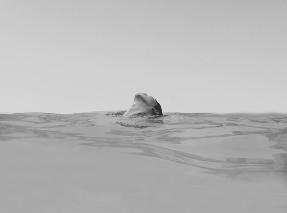 woman swimming on the ocean photography