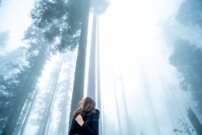 woman in forest wonder google meet background