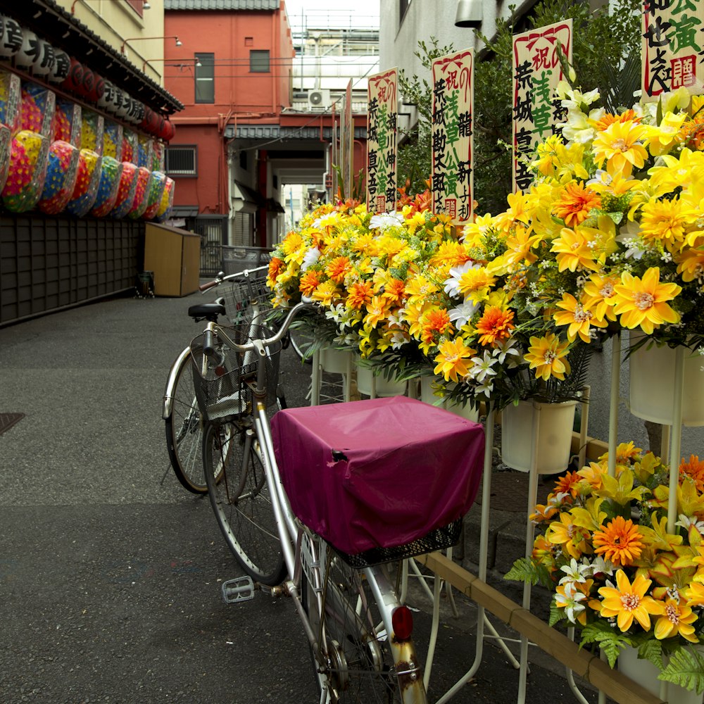 two bicycles near flowers