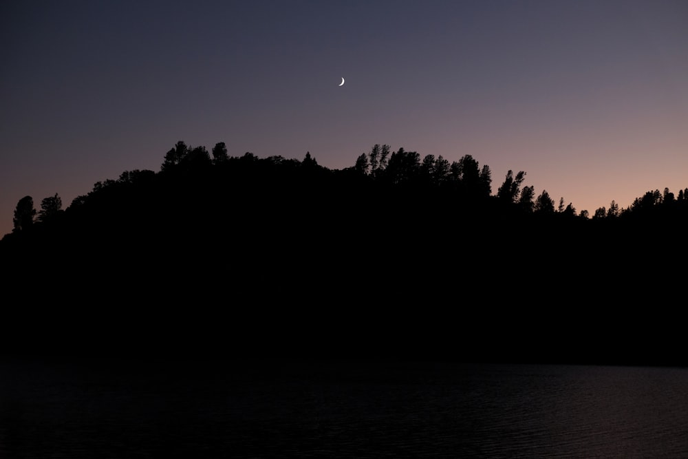 silhouette of trees on mountain at night time