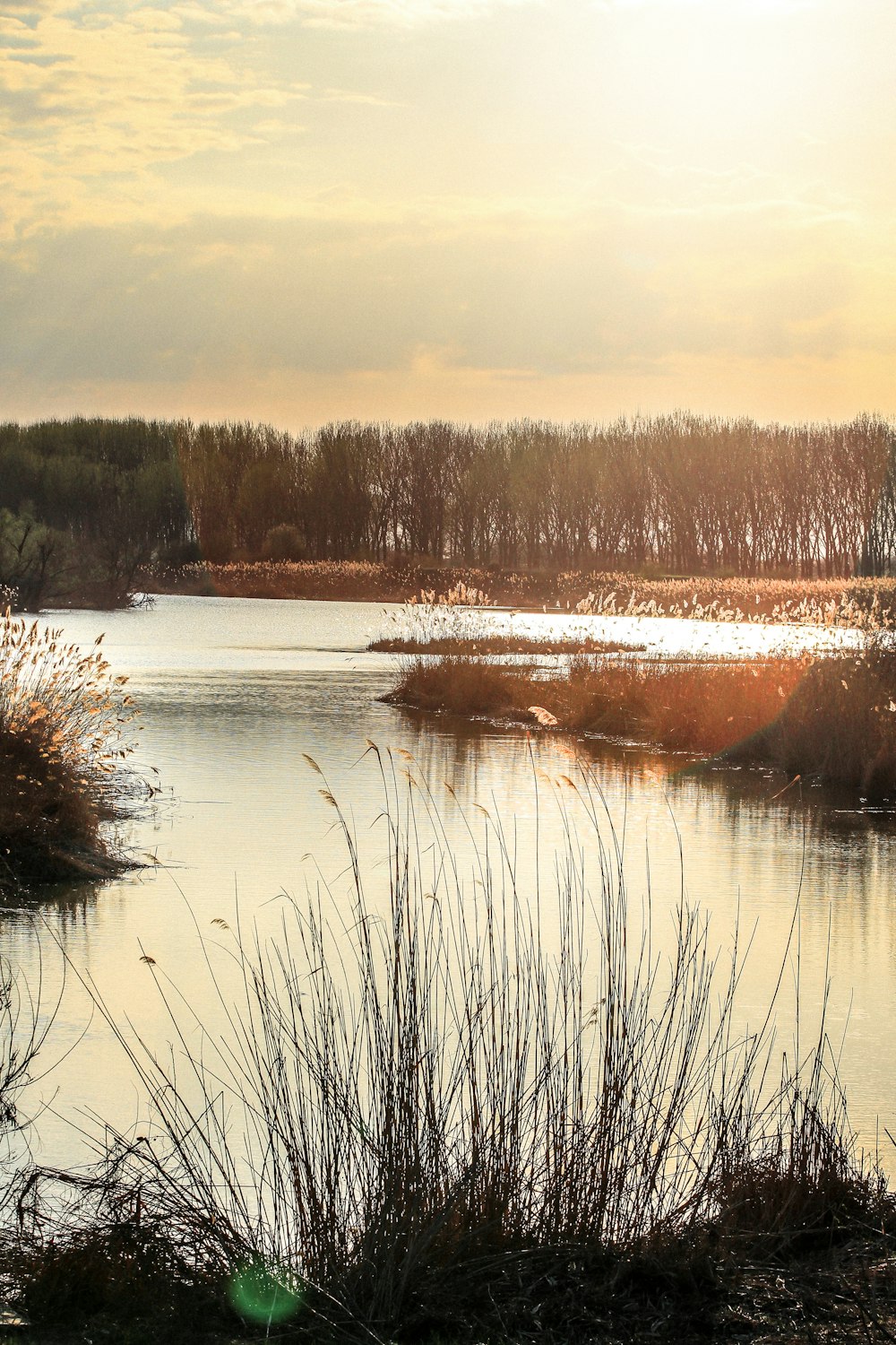 calm body of water during golden hour