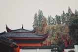 A traditional East Asian architectural structure with an ornate, curved roof is surrounded by dense greenery. Red lanterns are hung in the trees, contrasting with the muted colors of the foliage and building. The scene conveys a sense of cultural heritage and tranquility.