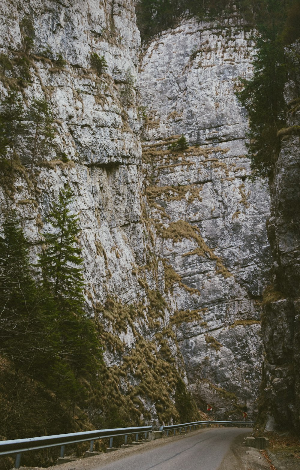 empty roadway in between rock formations