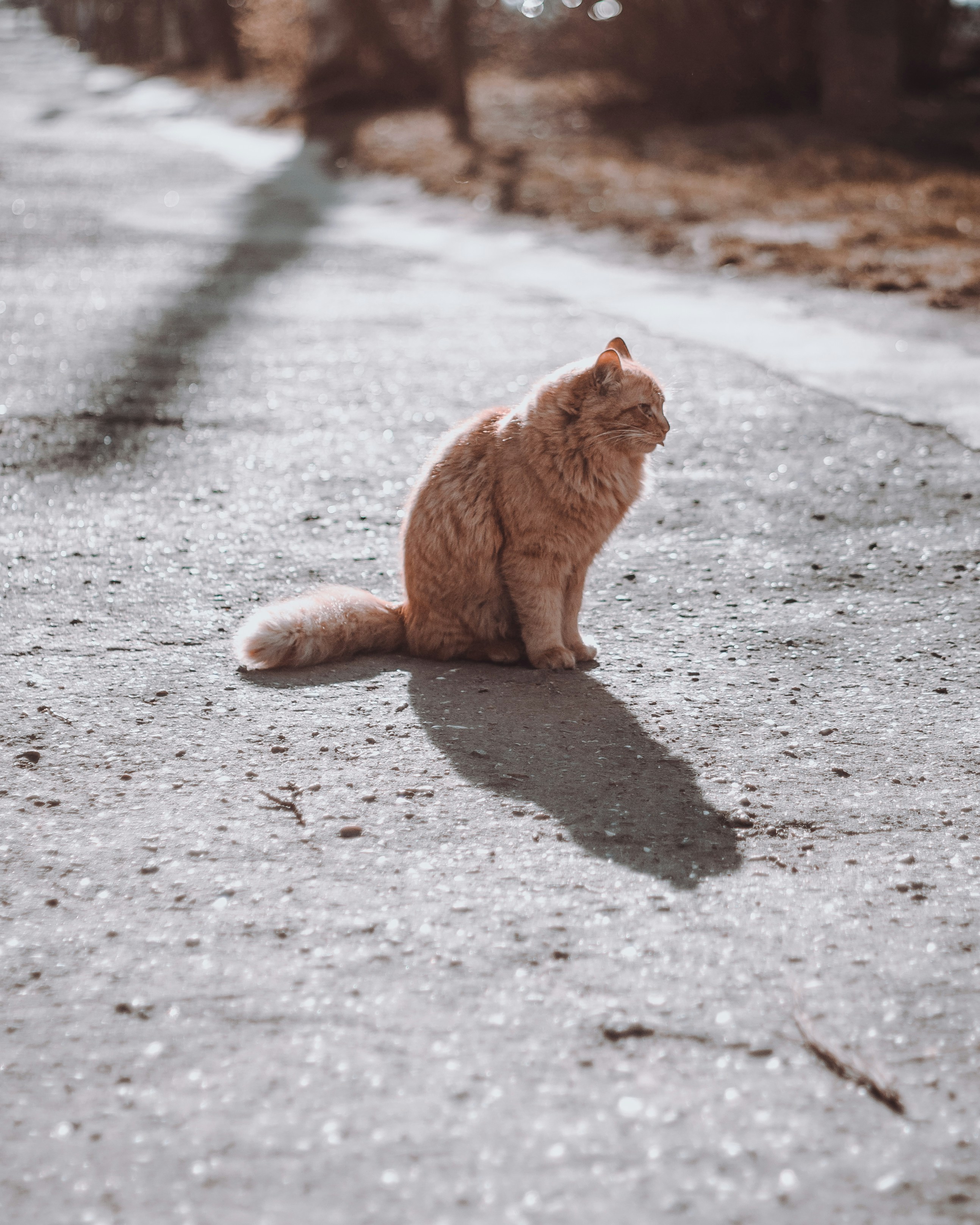 Photo by thewayofcolor