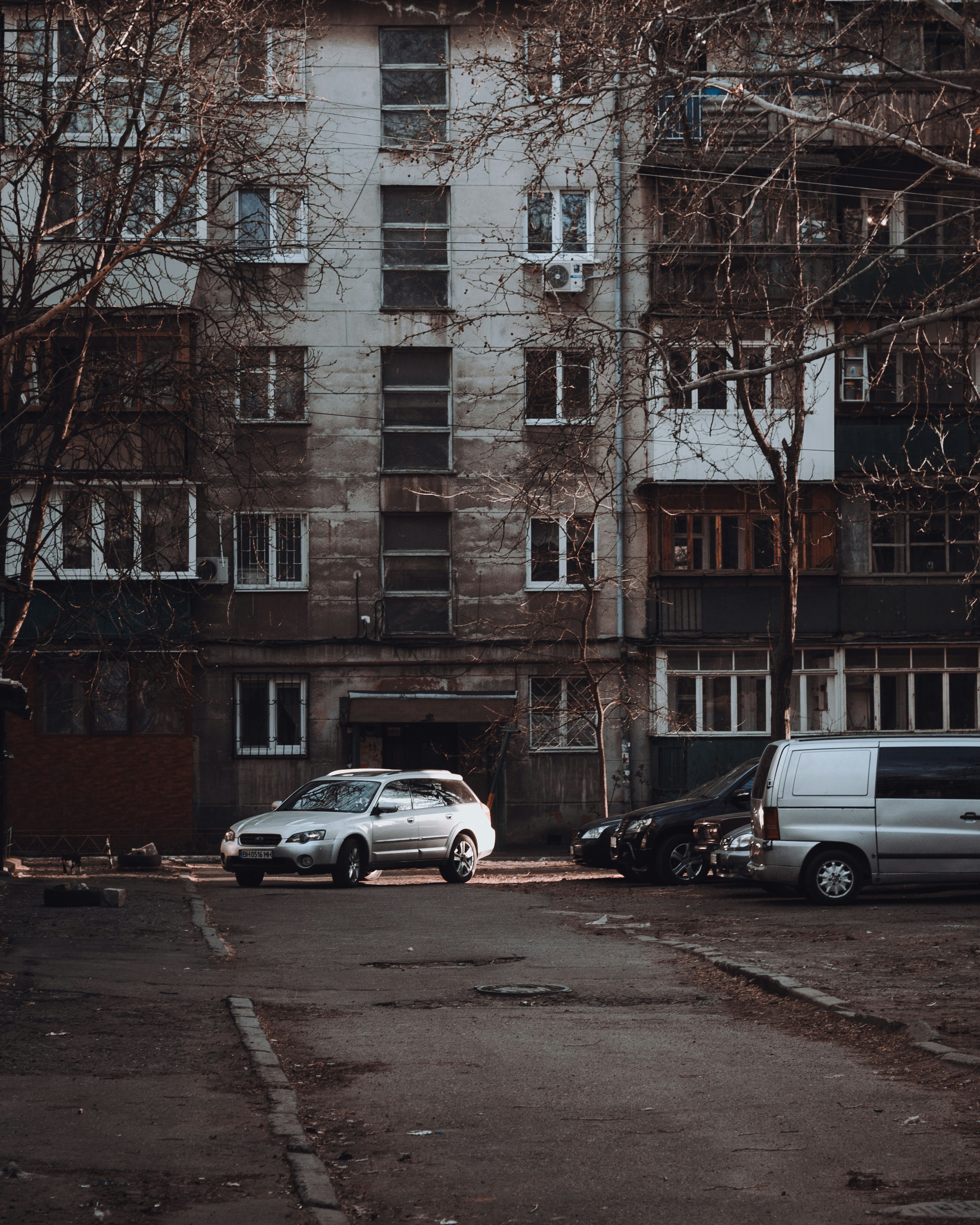 Photo by thewayofcolor