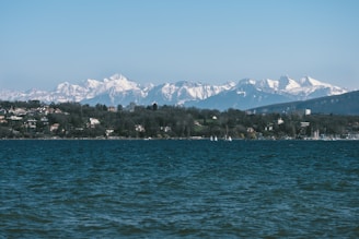 A serene lake with gentle waves in the foreground, surrounded by lush greenery and residential houses on the shoreline. In the background, majestic snow-capped mountains stretch across the horizon under a clear blue sky.