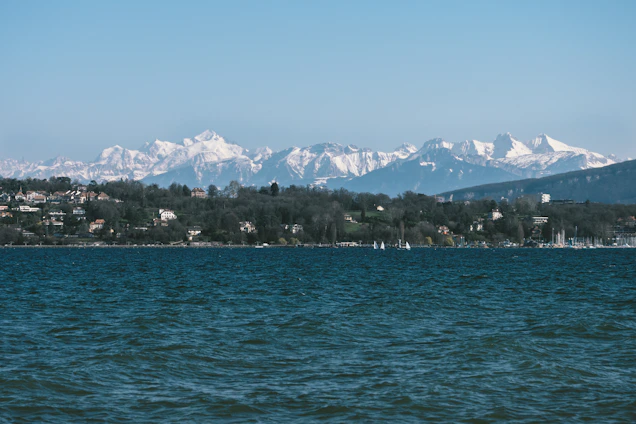 A serene view of Dal Lake at sunrise with houseboats gently floating and snow-capped mountains in the background.