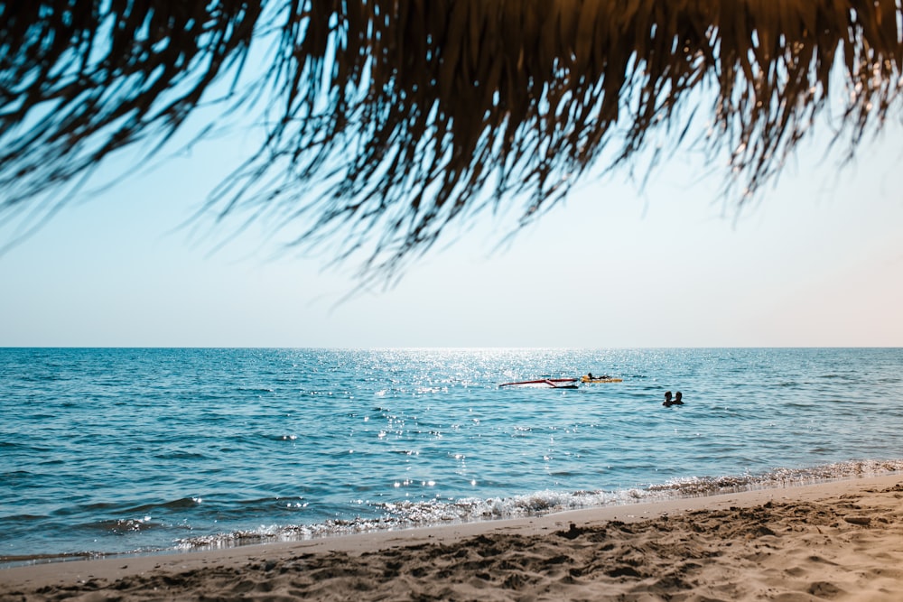 people and boat on ocean