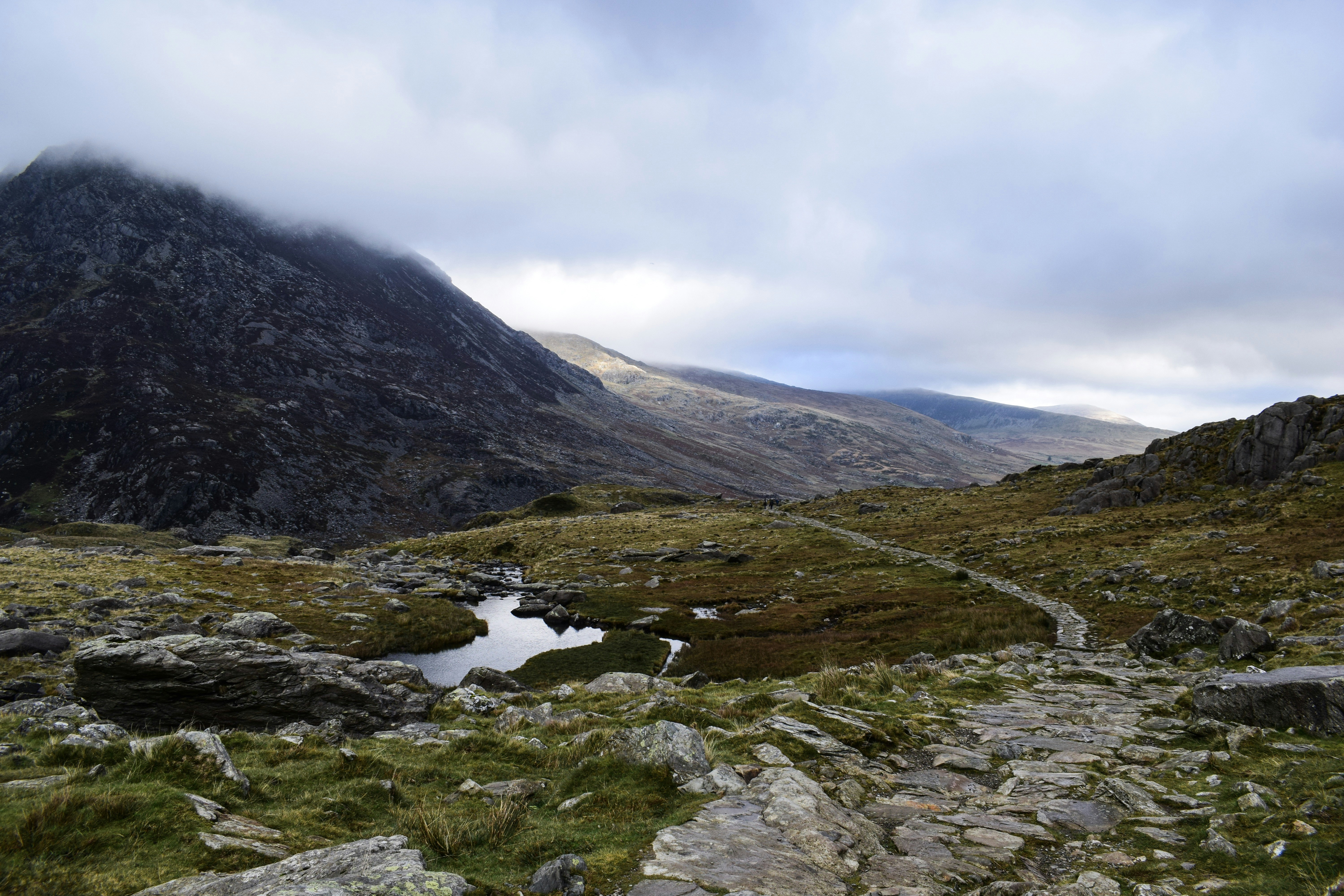 Photo by taylor_cowling_photos