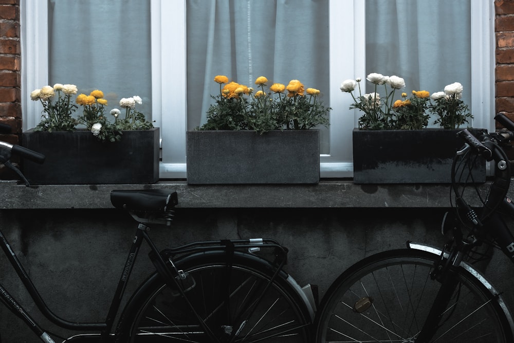two black bikes near flowers with pots