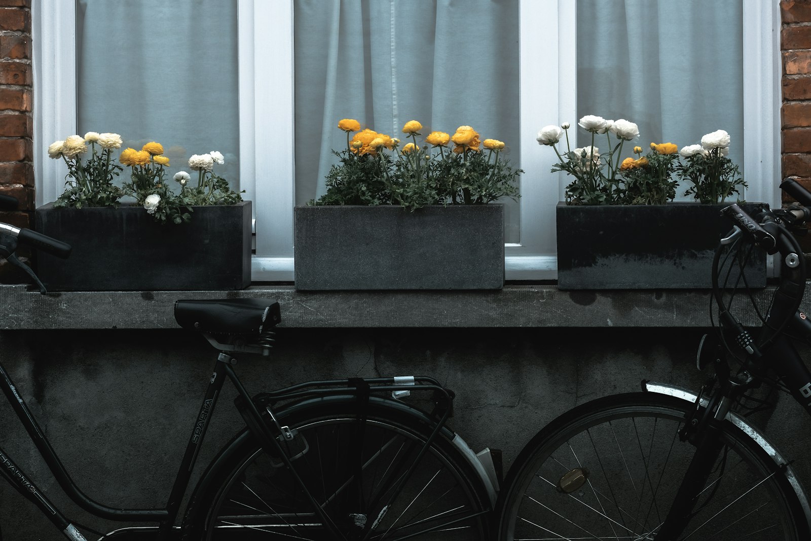 Fujifilm X-T3 + Fujifilm XF 90mm F2 R LM WR sample photo. Two black bikes near photography