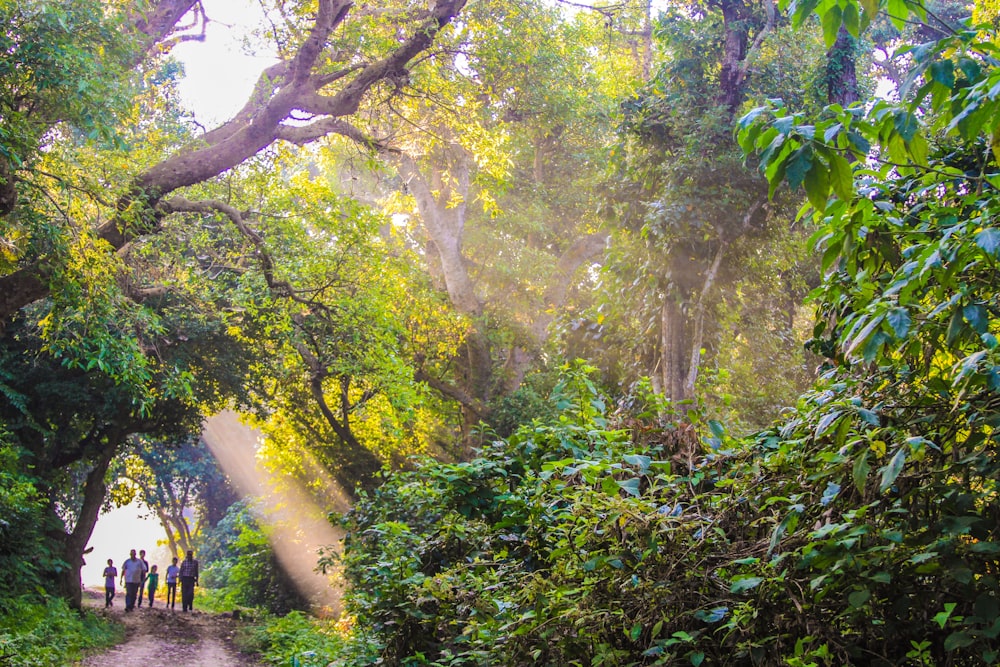 people walking on dirt road during daytime