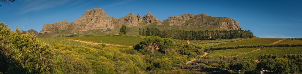 Panoramafotografie der Berge