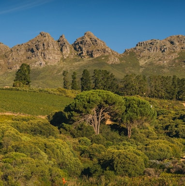 panorama photography of mountain