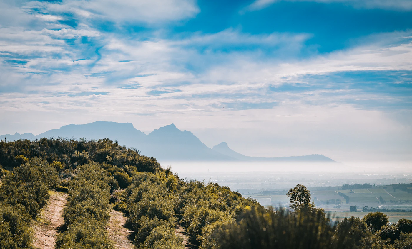 Best Seasons for a Cape Wedding: Light, Wind & What No One Tells You
