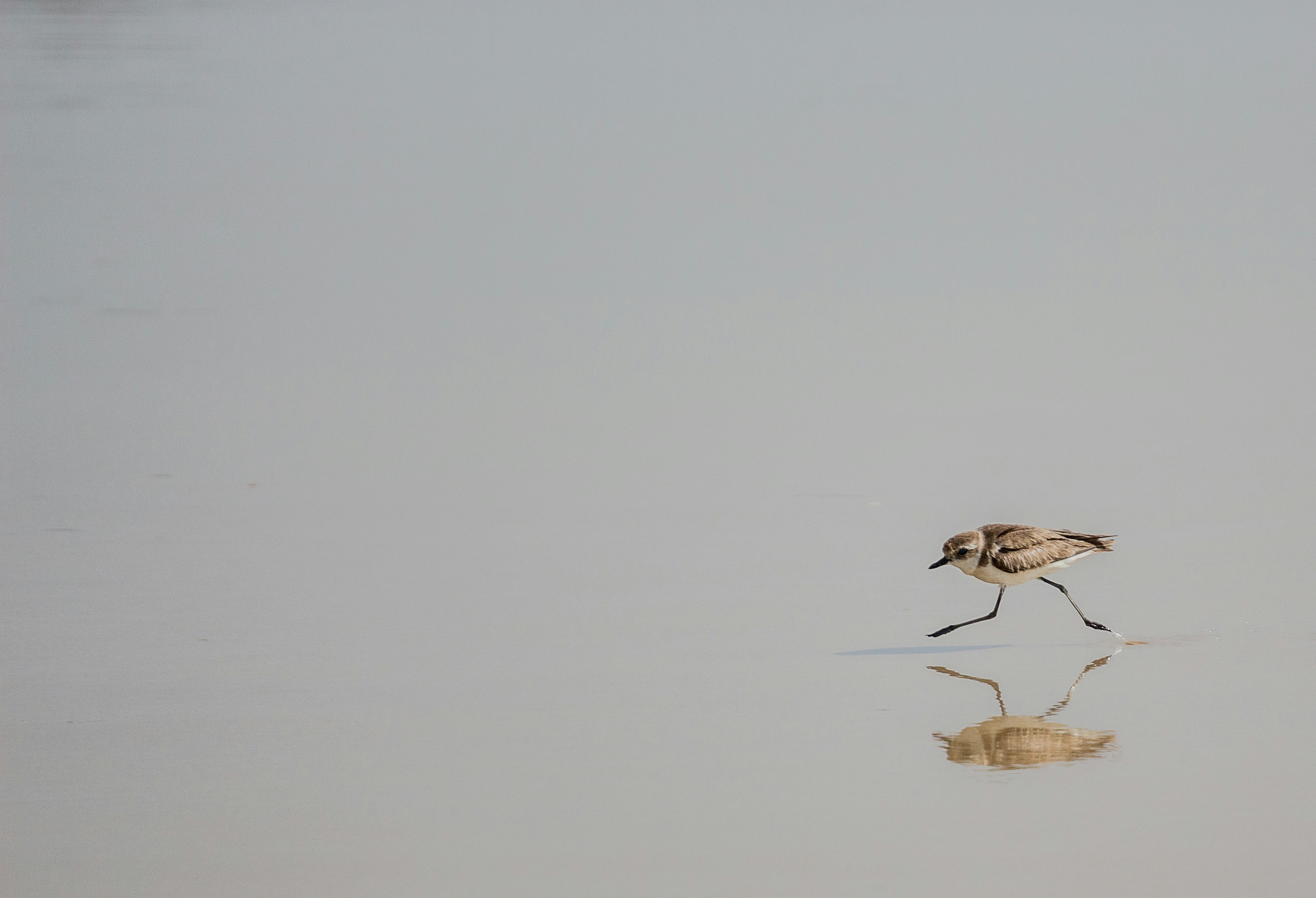 Photo by wildandbeyondbyvivek