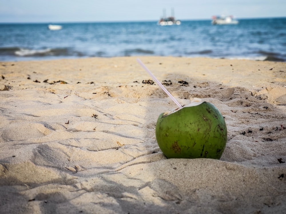 모래에 코코넛의 얕은 초점 사진
